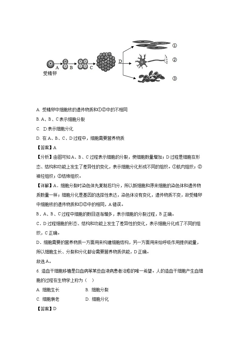 2023~2024学年江苏省徐州市铜山区某校七年级下3月月考生物试卷（解析版）第3页