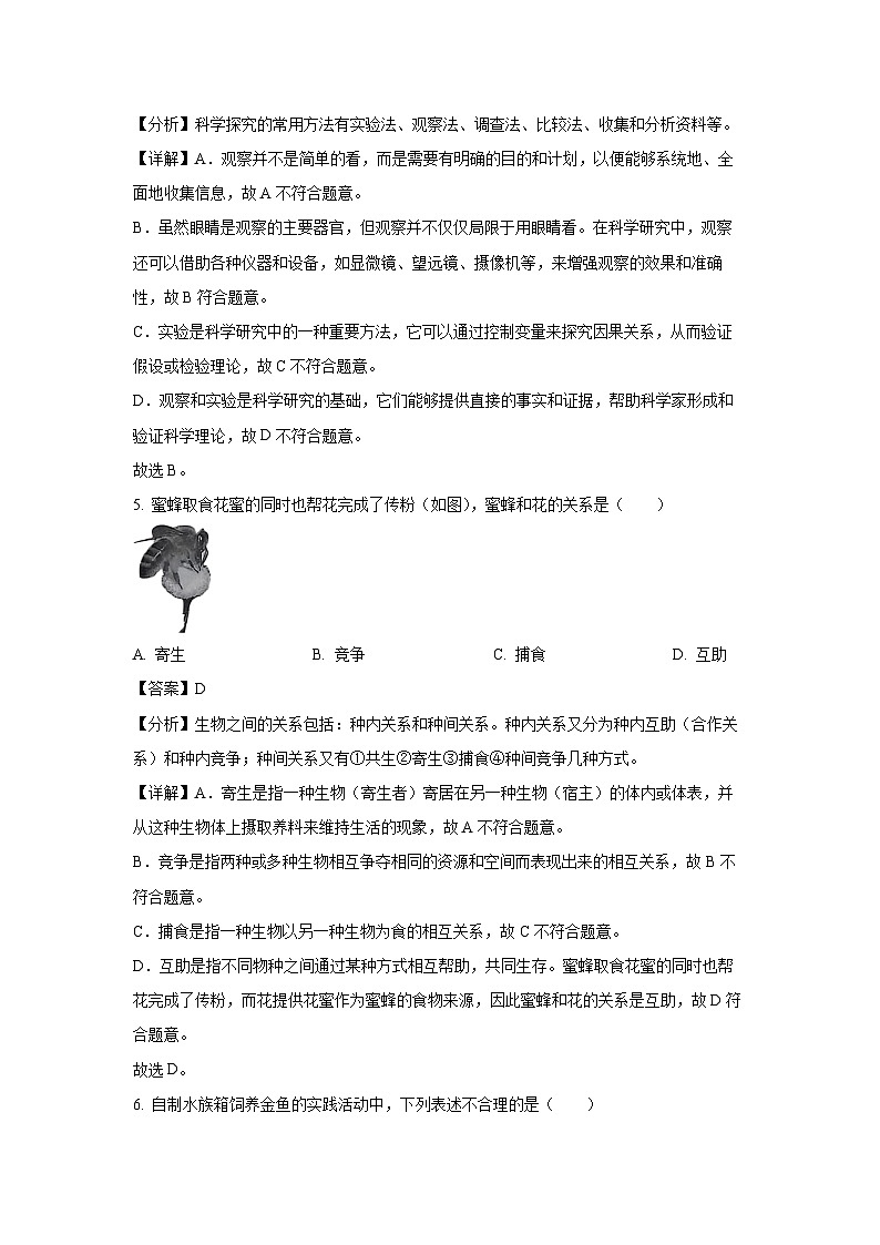 2024~2025学年江苏省徐州市铜山区七年级上学期期中生物试卷（解析版）第3页