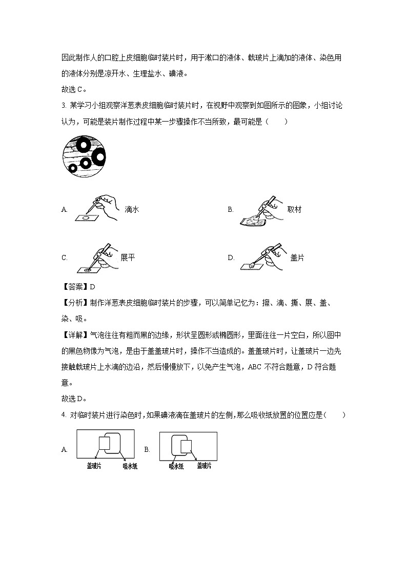 2023~2024学年江苏省徐州市沛县某校七年级下3月月考生物试卷（解析版）第2页