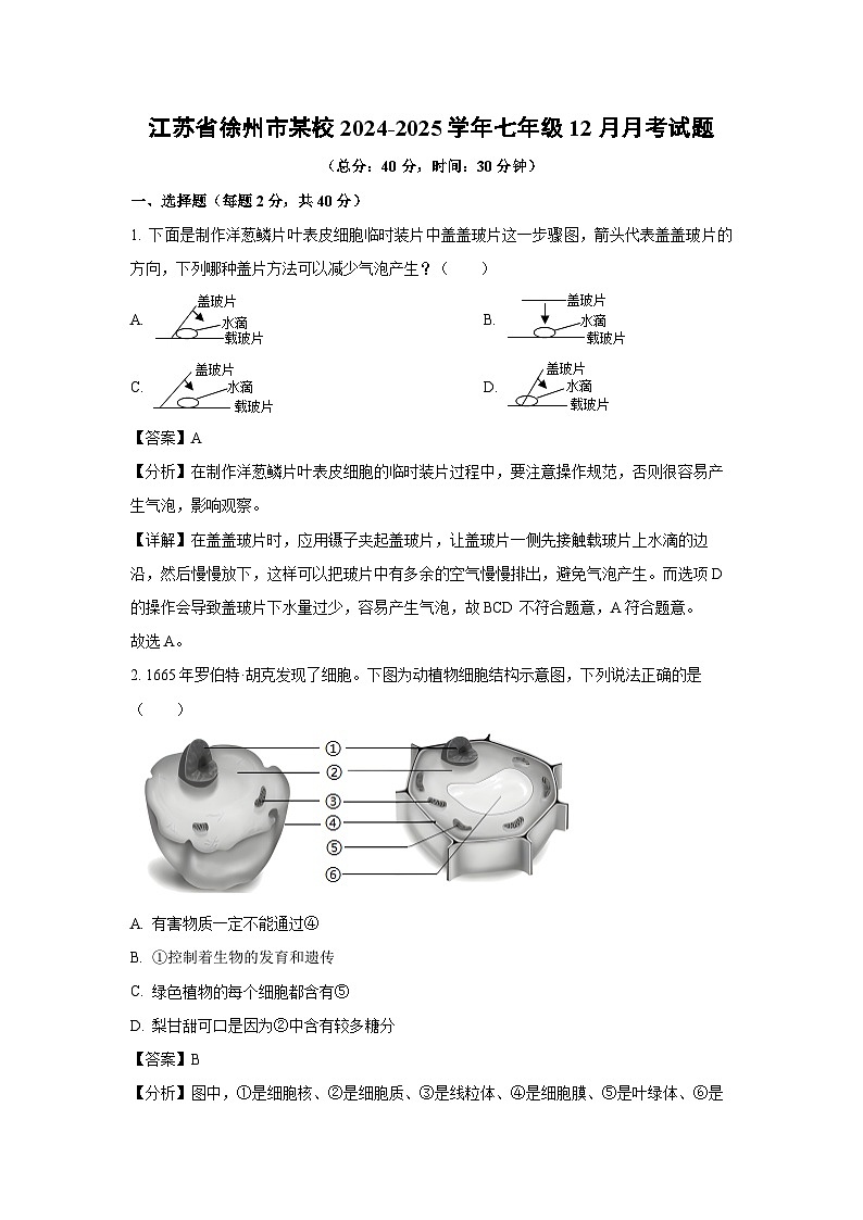 2024~2025学年江苏省徐州市某校七年级上12月月考生物试卷（解析版）第1页