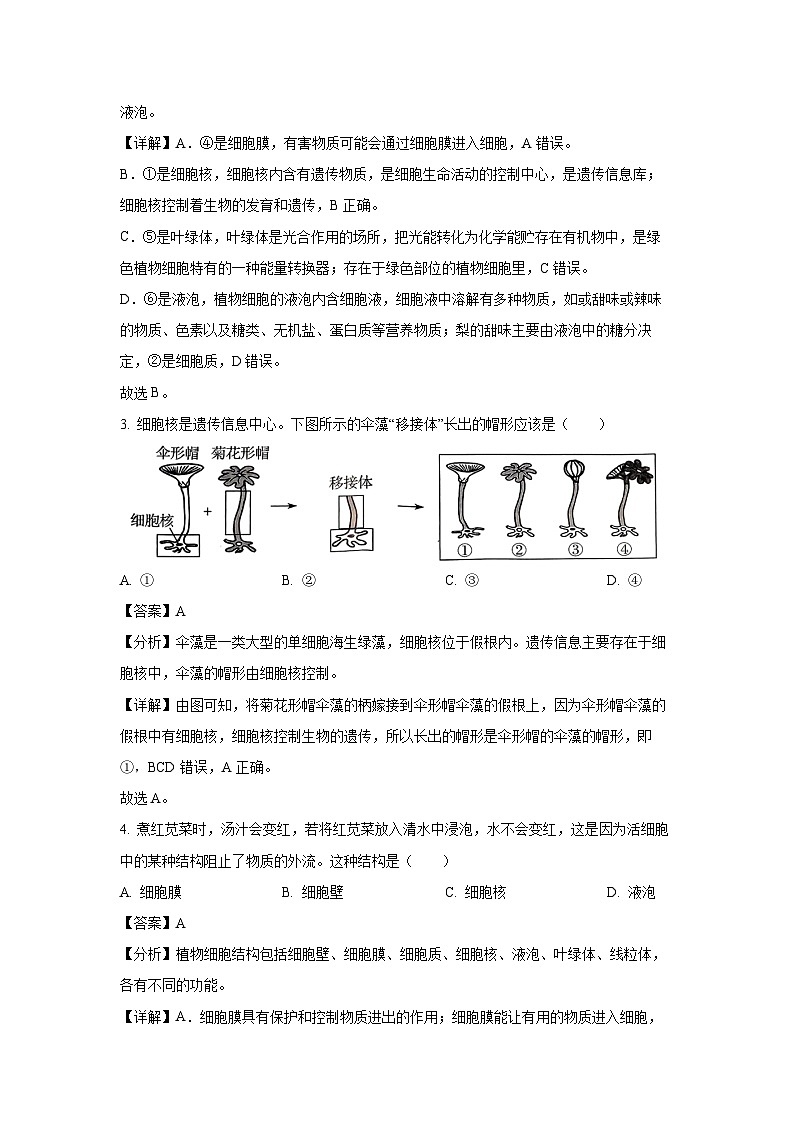 2024~2025学年江苏省徐州市某校七年级上12月月考生物试卷（解析版）第2页