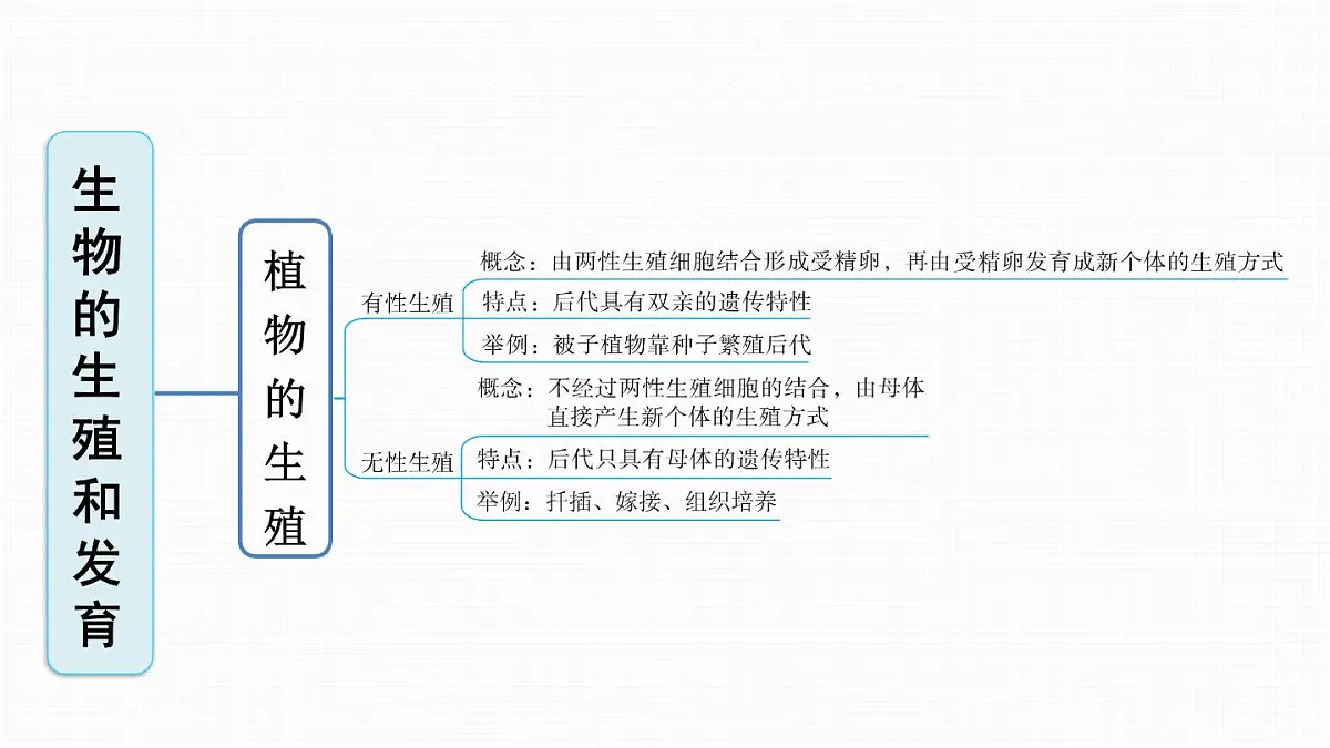 人教版八年级下册生物全册期末复习课件第3页