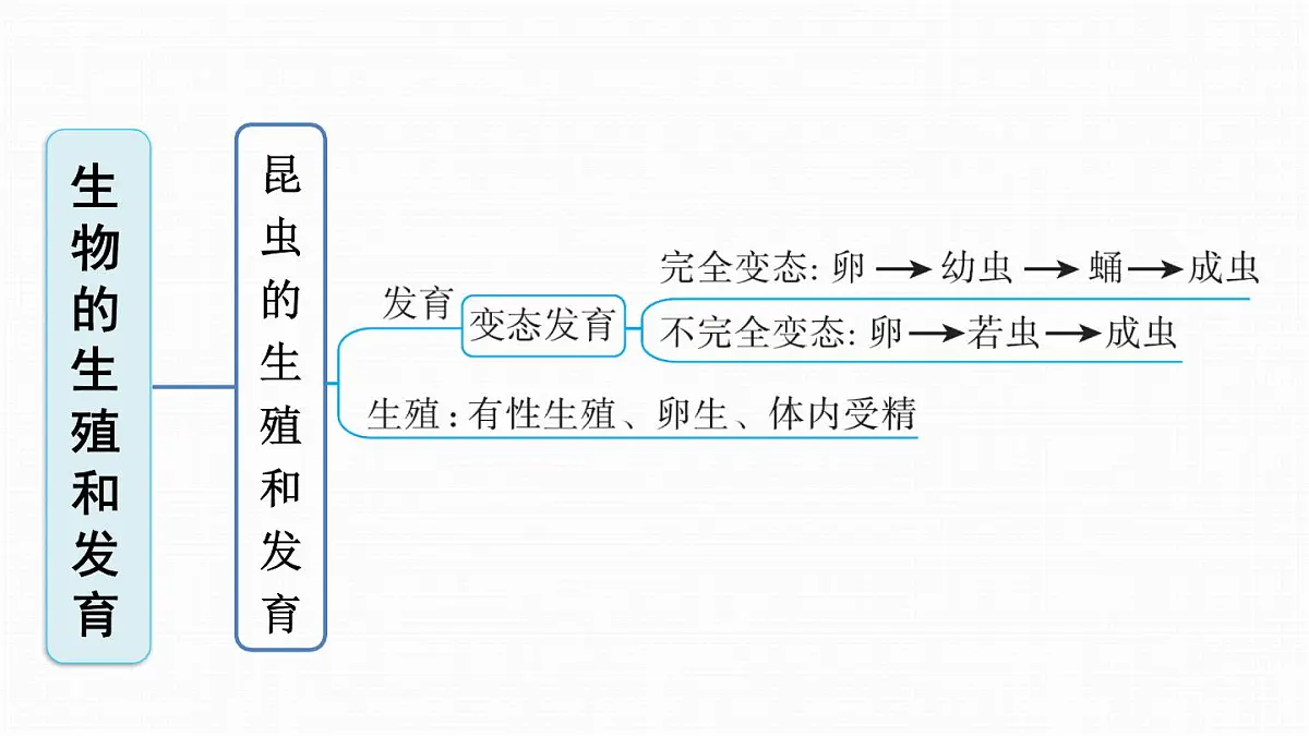 人教版八年级下册生物全册期末复习课件第4页