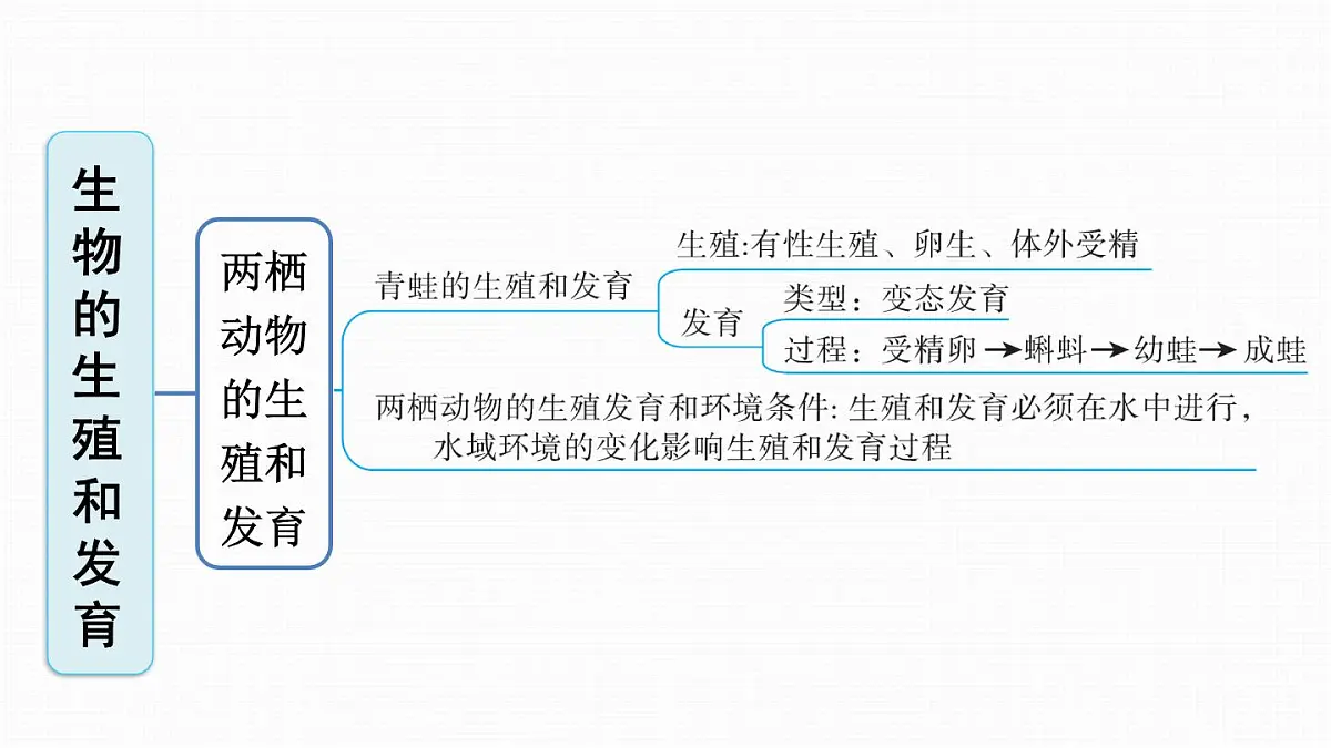 人教版八年级下册生物全册期末复习课件第5页