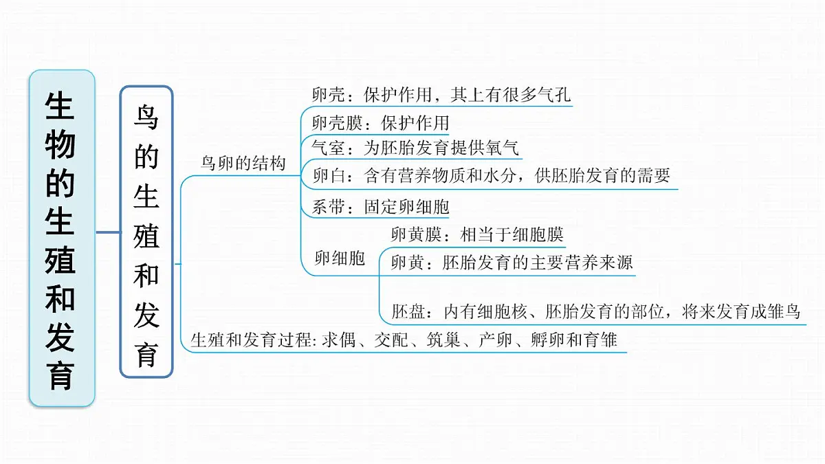 人教版八年级下册生物全册期末复习课件第6页