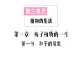 初中生物新人教版七年級下冊第三單元第一章第一節(jié) 種子的萌發(fā)作業(yè)課件2025春