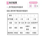 初中生物新人教版七年級下冊第三單元第一章第一節(jié) 種子的萌發(fā)作業(yè)課件2025春