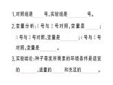 初中生物新人教版七年級下冊第三單元第一章第一節(jié) 種子的萌發(fā)作業(yè)課件2025春