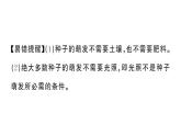 初中生物新人教版七年級下冊第三單元第一章第一節(jié) 種子的萌發(fā)作業(yè)課件2025春