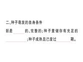 初中生物新人教版七年級下冊第三單元第一章第一節(jié) 種子的萌發(fā)作業(yè)課件2025春