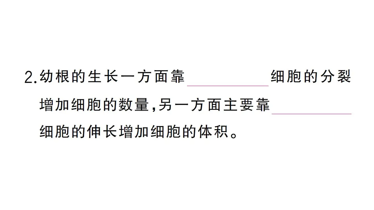 初中生物新人教版七年级下册第三单元第一章第二节 植株的生长作业课件2025春第4页
