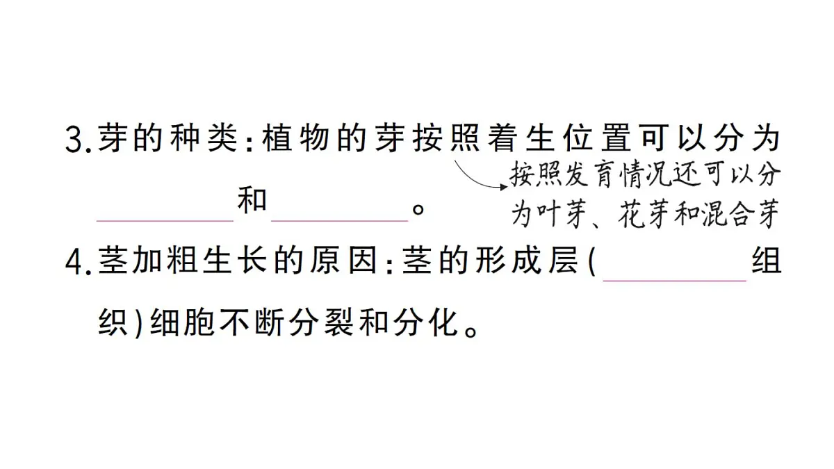初中生物新人教版七年级下册第三单元第一章第二节 植株的生长作业课件2025春第6页