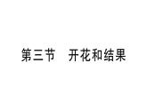 初中生物新人教版七年級下冊第三單元第一章第三節(jié) 開花和結(jié)果作業(yè)課件2025春
