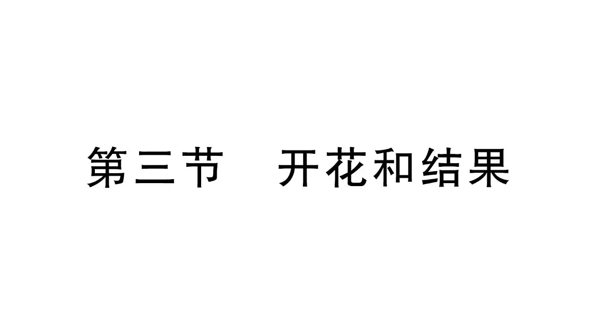 初中生物新人教版七年级下册第三单元第一章第三节 开花和结果作业课件2025春第1页