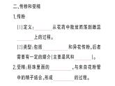 初中生物新人教版七年級下冊第三單元第一章第三節(jié) 開花和結(jié)果作業(yè)課件2025春