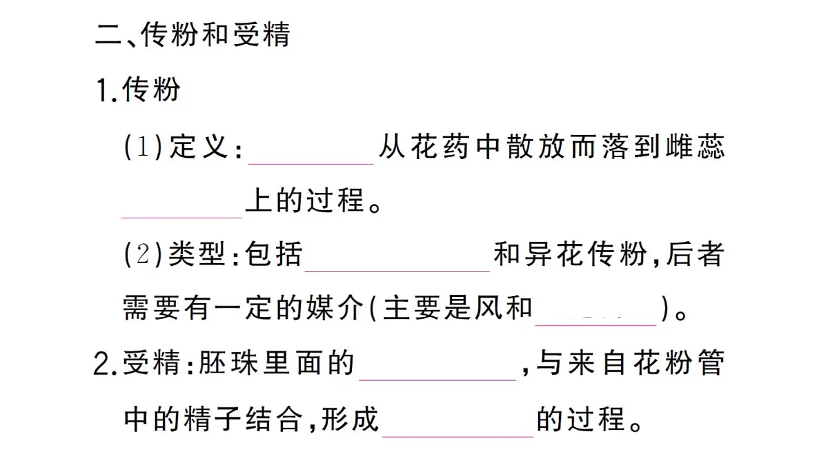 初中生物新人教版七年级下册第三单元第一章第三节 开花和结果作业课件2025春第4页