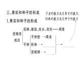 初中生物新人教版七年級下冊第三單元第一章第三節(jié) 開花和結(jié)果作業(yè)課件2025春