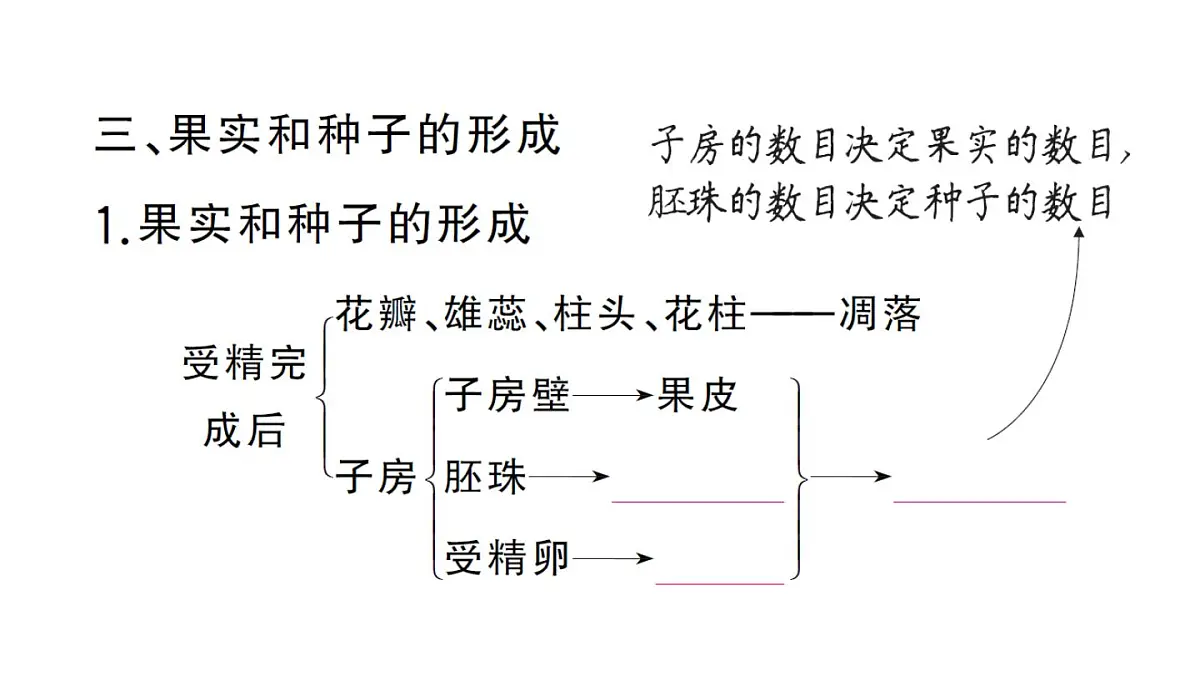 初中生物新人教版七年级下册第三单元第一章第三节 开花和结果作业课件2025春第5页
