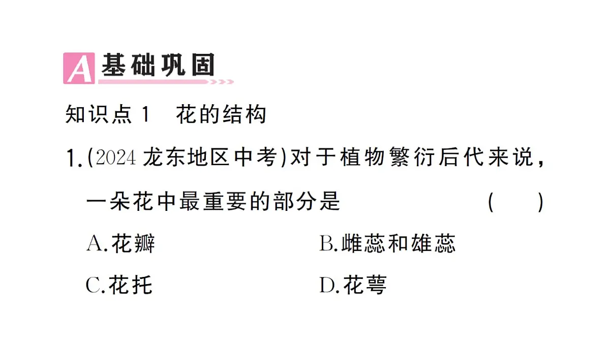 初中生物新人教版七年级下册第三单元第一章第三节 开花和结果作业课件2025春第8页