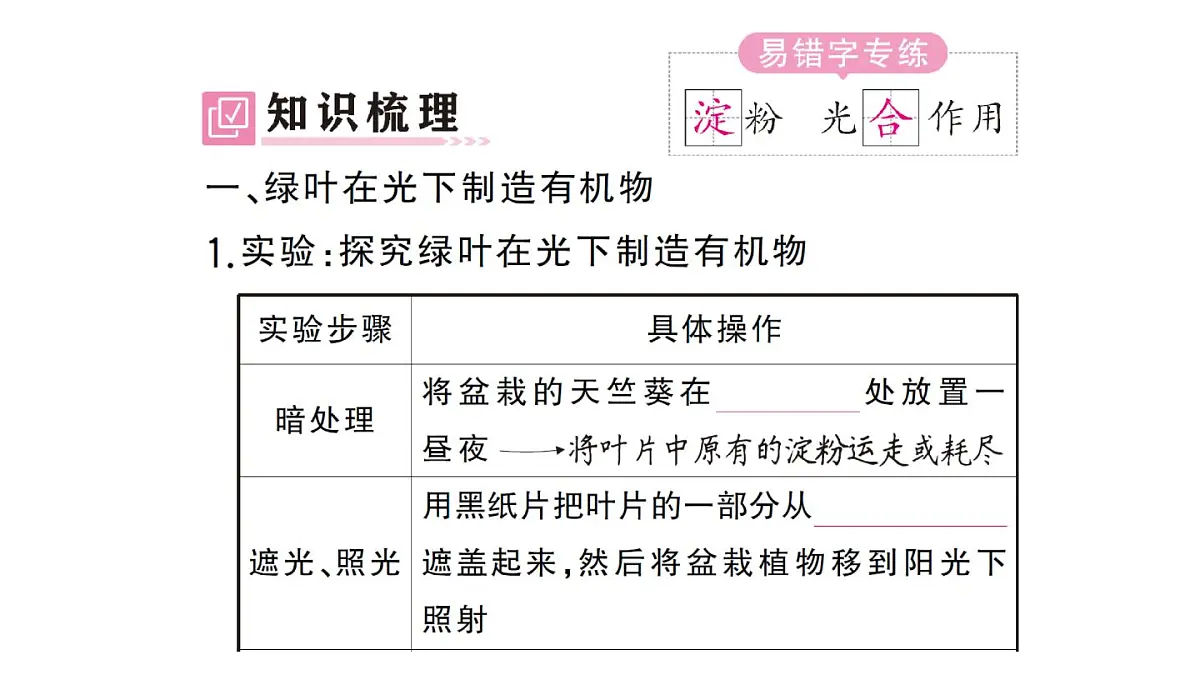 初中生物新人教版七年级下册第三单元第二章第二节第一课时 光合作用的探索作业课件2025春第2页