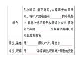 初中生物新人教版七年級下冊第三單元第二章第二節(jié)第一課時 光合作用的探索作業(yè)課件2025春
