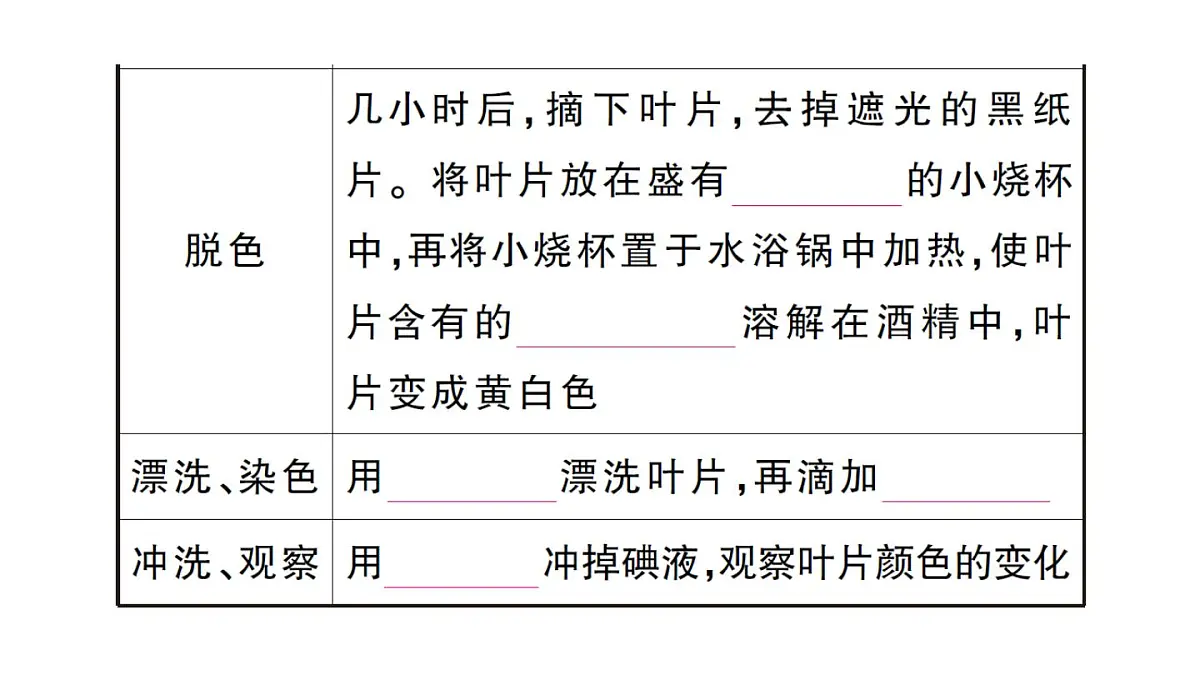 初中生物新人教版七年级下册第三单元第二章第二节第一课时 光合作用的探索作业课件2025春第3页