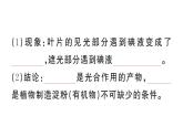 初中生物新人教版七年級下冊第三單元第二章第二節(jié)第一課時 光合作用的探索作業(yè)課件2025春