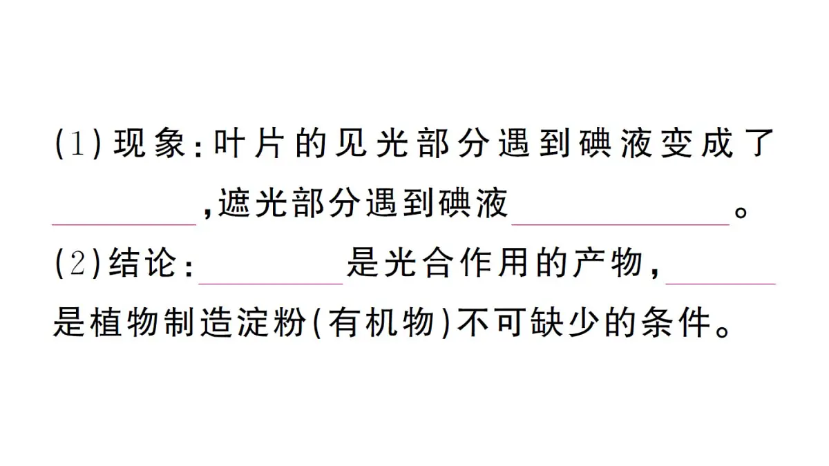 初中生物新人教版七年级下册第三单元第二章第二节第一课时 光合作用的探索作业课件2025春第4页