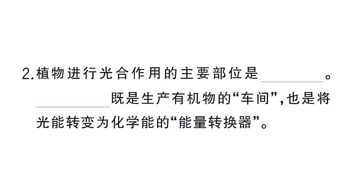 初中生物新人教版七年级下册第三单元第二章第二节第一课时 光合作用的探索作业课件2025春第5页