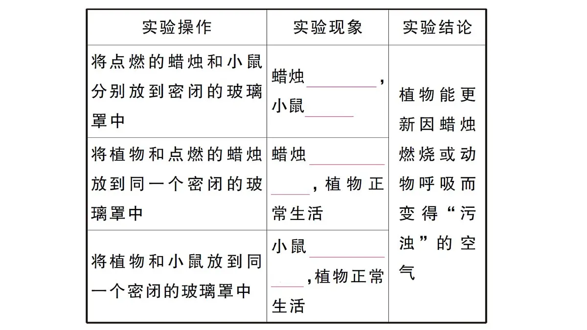 初中生物新人教版七年级下册第三单元第二章第二节第一课时 光合作用的探索作业课件2025春第7页