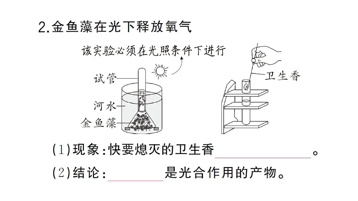 初中生物新人教版七年级下册第三单元第二章第二节第一课时 光合作用的探索作业课件2025春第8页