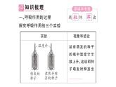 初中生物新人教版七年級下冊第三單元第二章第三節(jié) 呼吸作用作業(yè)課件2025春