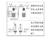 初中生物新人教版七年級下冊第三單元第二章第三節(jié) 呼吸作用作業(yè)課件2025春
