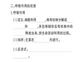初中生物新人教版七年級下冊第三單元第二章第三節(jié) 呼吸作用作業(yè)課件2025春