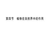 初中生物新人教版七年級下冊第三單元第二章第四節(jié) 植物在自然界中的作用作業(yè)課件2025春
