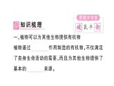 初中生物新人教版七年級下冊第三單元第二章第四節(jié) 植物在自然界中的作用作業(yè)課件2025春