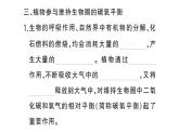 初中生物新人教版七年級下冊第三單元第二章第四節(jié) 植物在自然界中的作用作業(yè)課件2025春