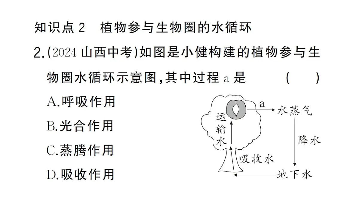 初中生物新人教版七年级下册第三单元第二章第四节 植物在自然界中的作用作业课件2025春第8页