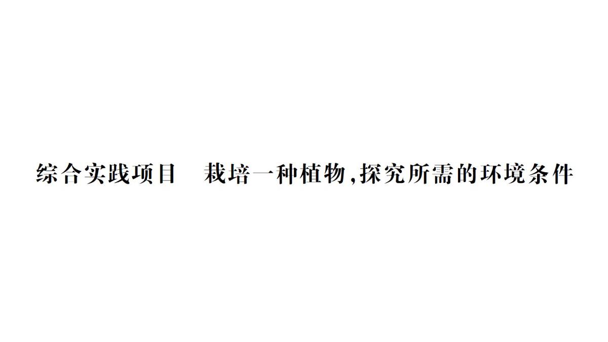 初中生物新人教版七年级下册第三单元第二章综合实践项目 栽培一种植物，探究所需的环境条件作业课件2025春第1页