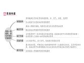 初中生物新人教版七年級下冊第三單元第二章綜合實踐項目 栽培一種植物，探究所需的環(huán)境條件作業(yè)課件2025春