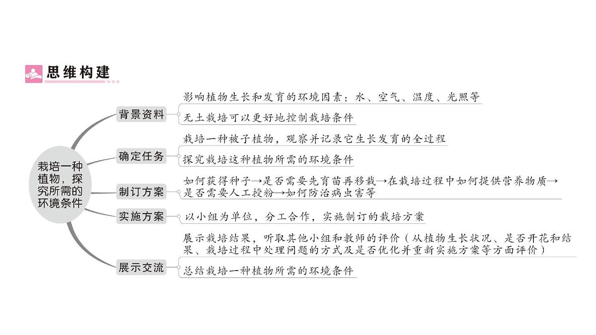 初中生物新人教版七年级下册第三单元第二章综合实践项目 栽培一种植物，探究所需的环境条件作业课件2025春第2页