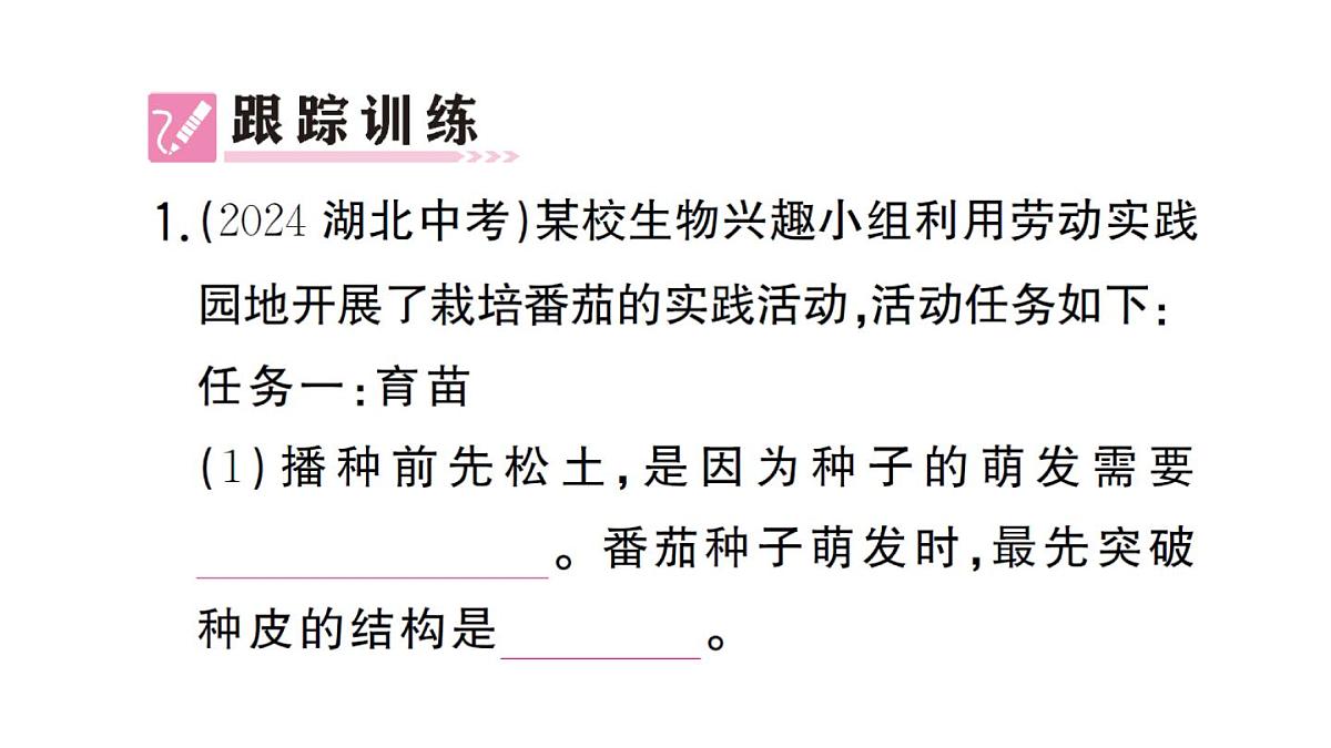 初中生物新人教版七年级下册第三单元第二章综合实践项目 栽培一种植物，探究所需的环境条件作业课件2025春第3页