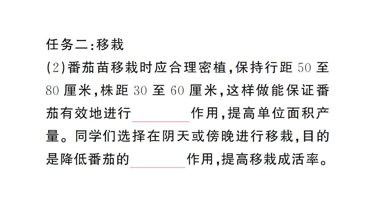 初中生物新人教版七年级下册第三单元第二章综合实践项目 栽培一种植物，探究所需的环境条件作业课件2025春第4页