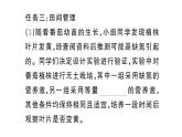 初中生物新人教版七年級下冊第三單元第二章綜合實踐項目 栽培一種植物，探究所需的環(huán)境條件作業(yè)課件2025春