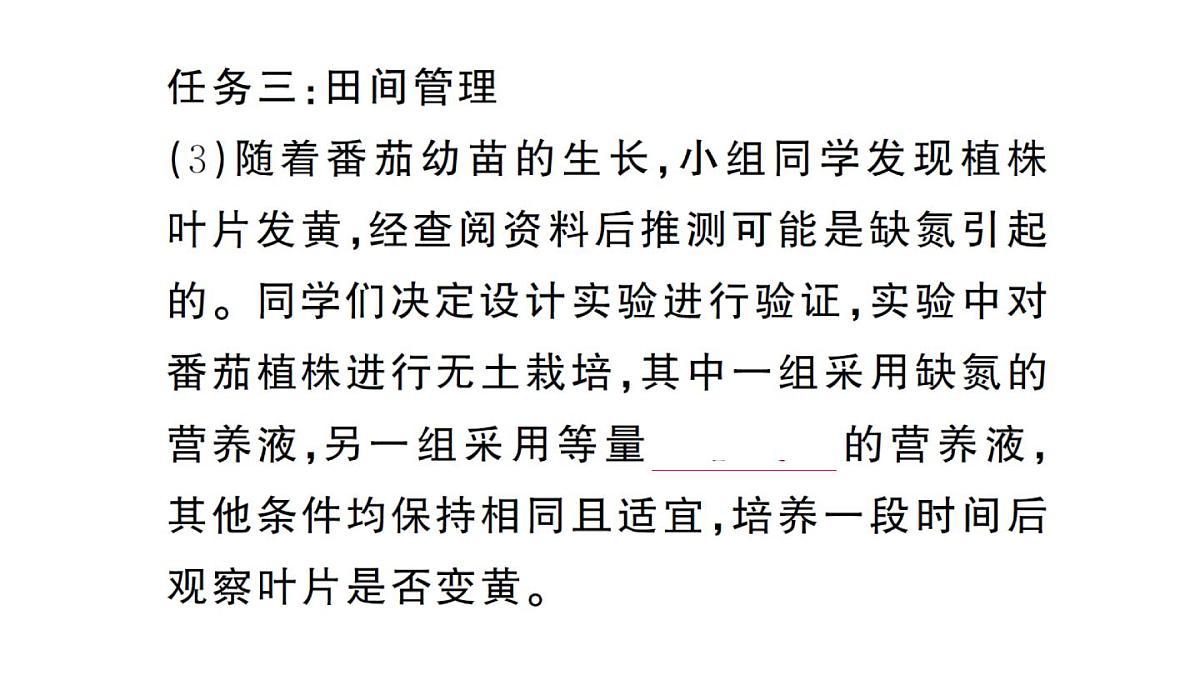 初中生物新人教版七年级下册第三单元第二章综合实践项目 栽培一种植物，探究所需的环境条件作业课件2025春第5页
