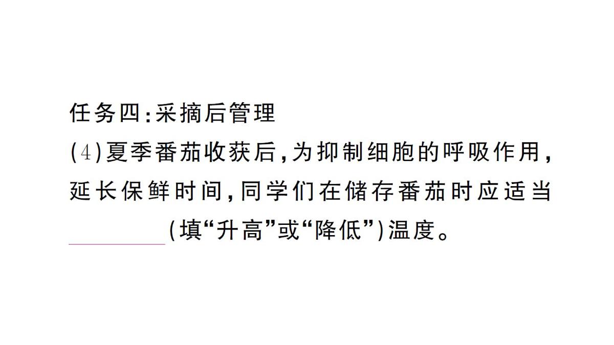 初中生物新人教版七年级下册第三单元第二章综合实践项目 栽培一种植物，探究所需的环境条件作业课件2025春第6页