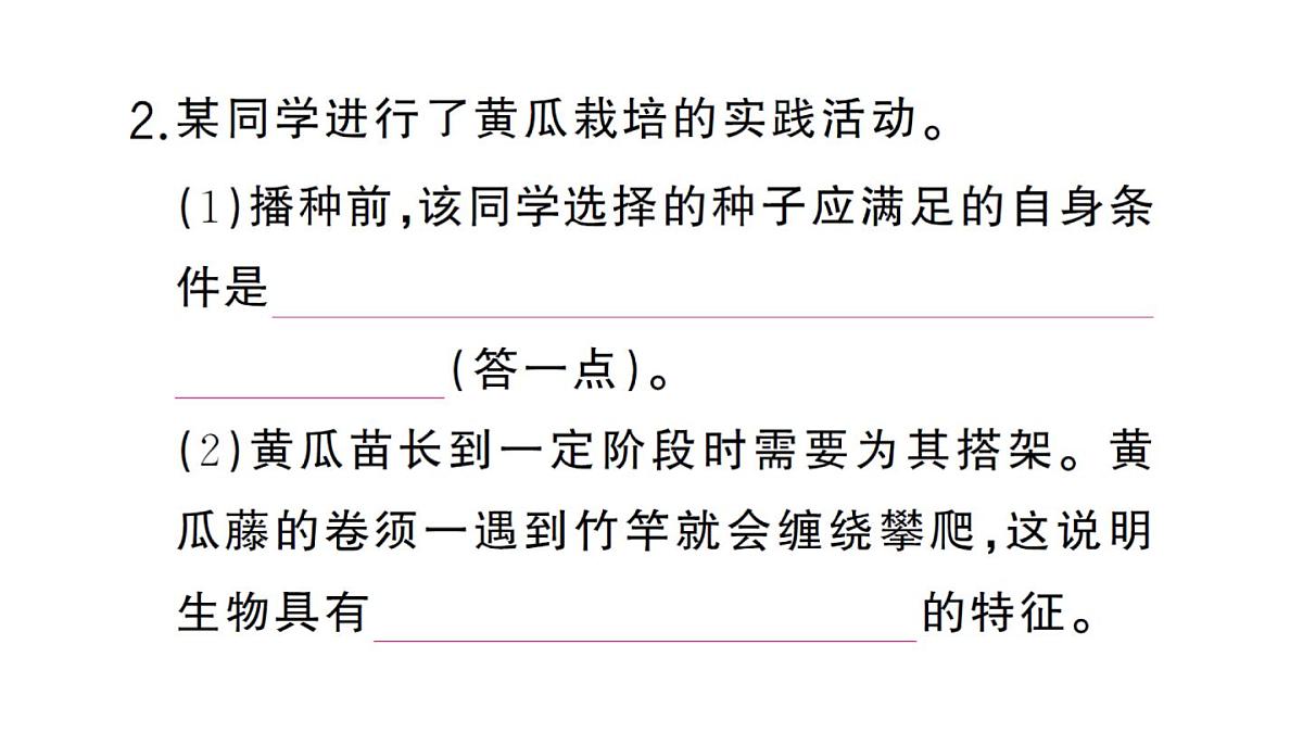 初中生物新人教版七年级下册第三单元第二章综合实践项目 栽培一种植物，探究所需的环境条件作业课件2025春第8页