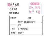 初中生物新人教版七年級下冊第四單元第一章第一節(jié) 人的生殖作業(yè)課件2025春