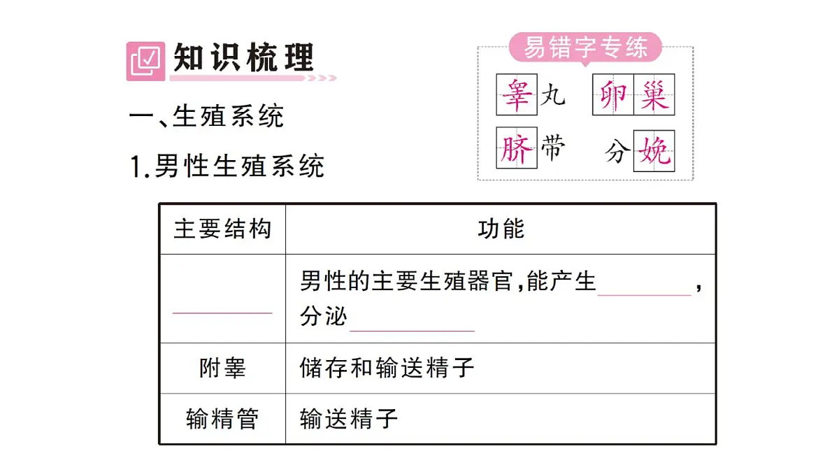 初中生物新人教版七年级下册第四单元第一章第一节 人的生殖作业课件2025春第2页