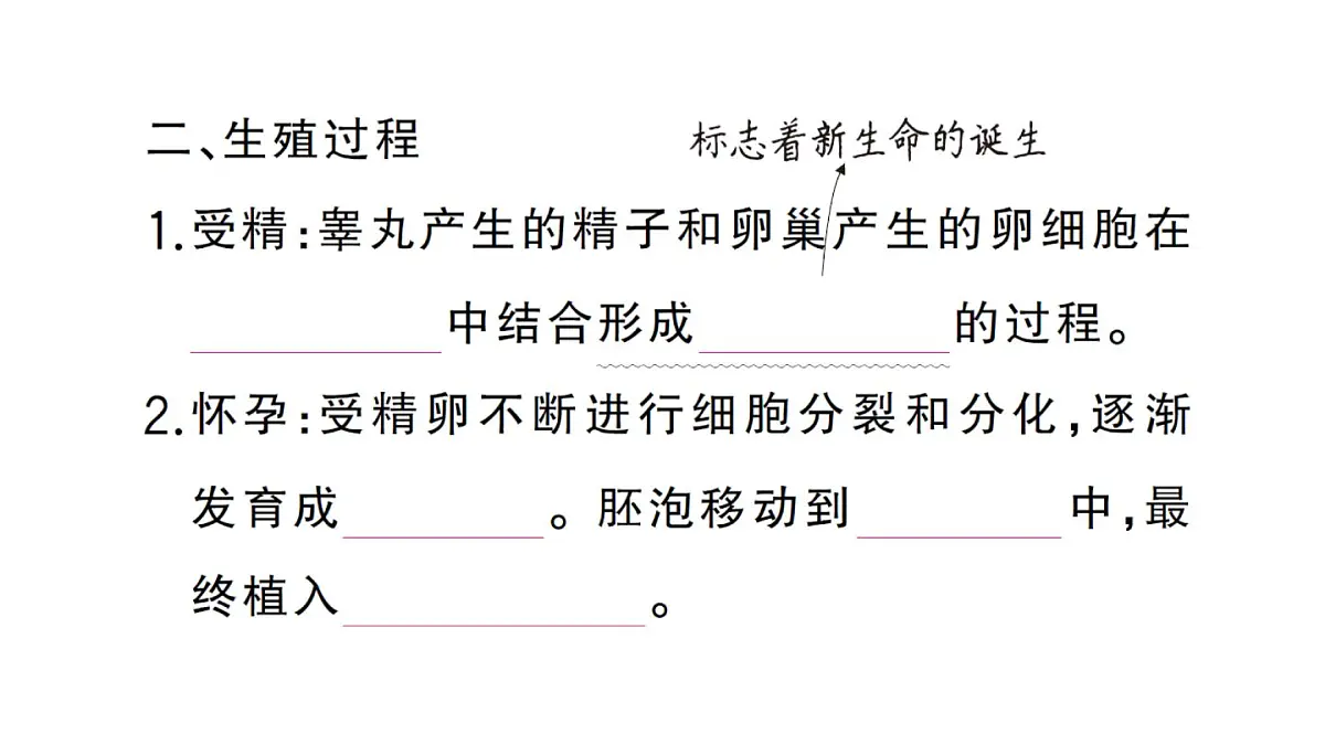 初中生物新人教版七年级下册第四单元第一章第一节 人的生殖作业课件2025春第4页